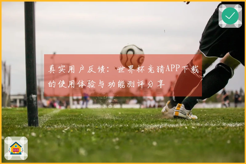 真实用户反馈：世界杯竞猜APP下载的使用体验与功能测评分享