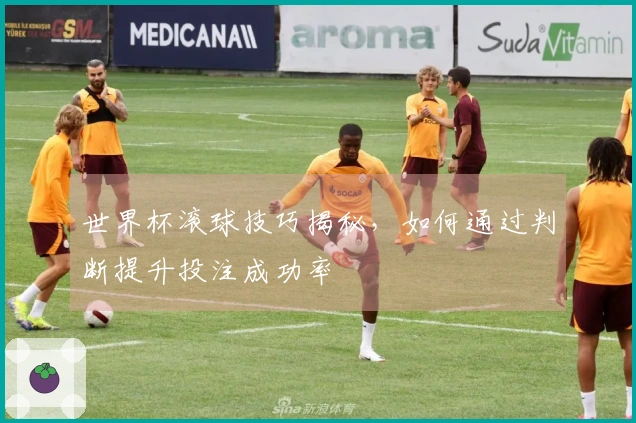 世界杯滚球技巧揭秘，如何通过判断提升投注成功率