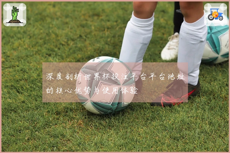 深度剖析世界杯投注平台平台地址的核心优势与使用体验