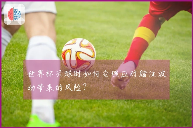世界杯买球时如何合理应对赌注波动带来的风险？