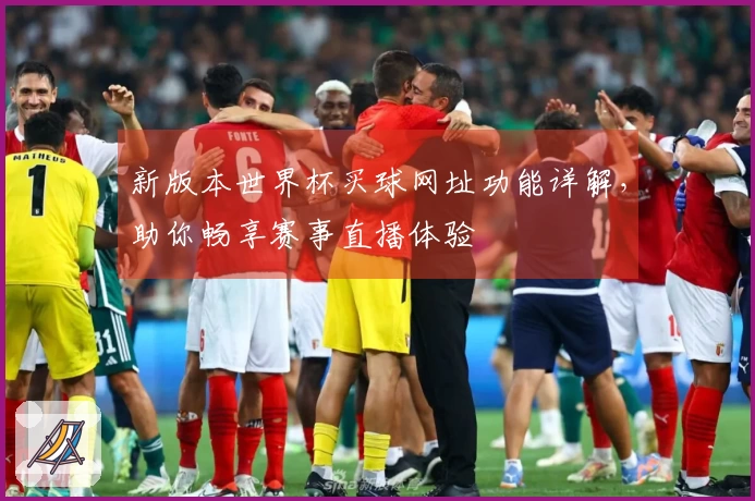 新版本世界杯买球网址功能详解，助你畅享赛事直播体验