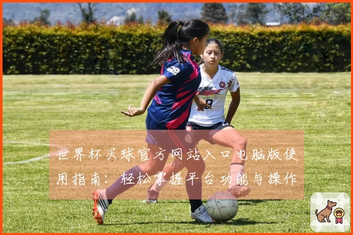 世界杯买球官方网站入口电脑版使用指南：轻松掌握平台功能与操作技巧
