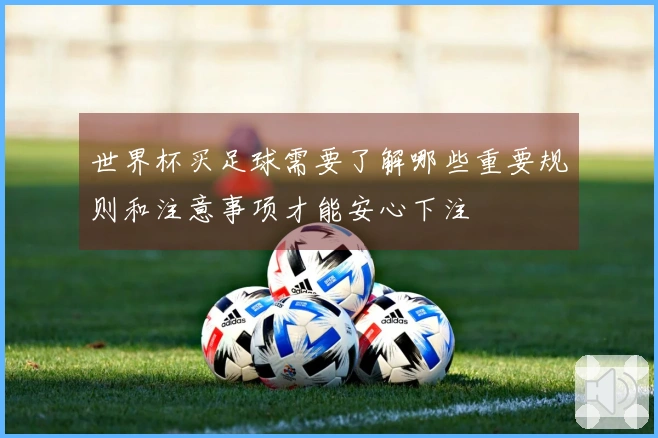 世界杯买足球需要了解哪些重要规则和注意事项才能安心下注