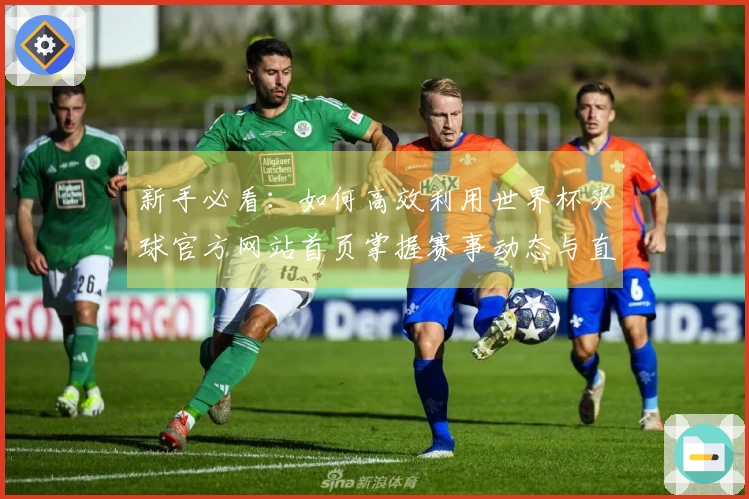 新手必看：如何高效利用世界杯买球官方网站首页掌握赛事动态与直播功能