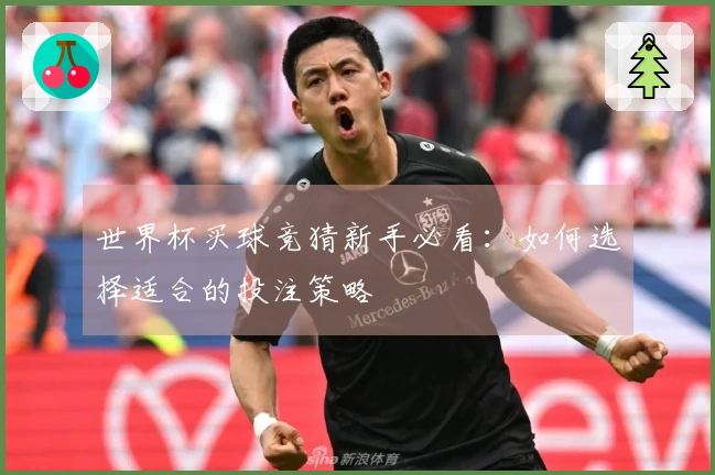 世界杯买球竞猜新手必看：如何选择适合的投注策略