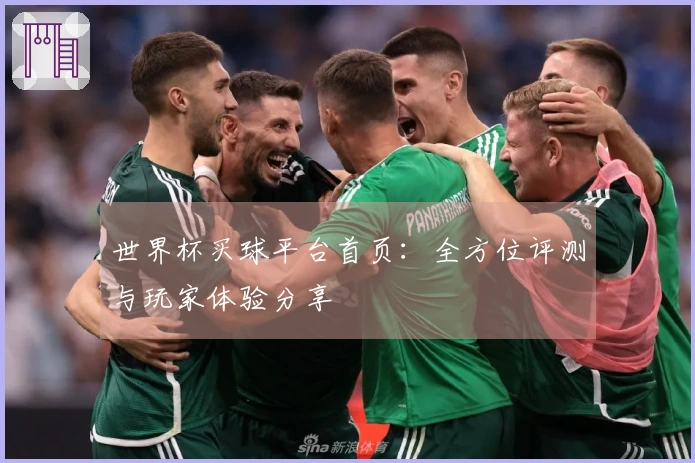 世界杯买球平台首页：全方位评测与玩家体验分享