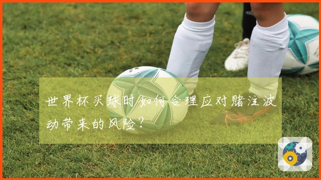 世界杯买球时如何合理应对赌注波动带来的风险？