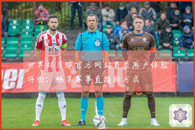 世界杯买球官方网站首页用户体验评测：畅享赛事直播新方式