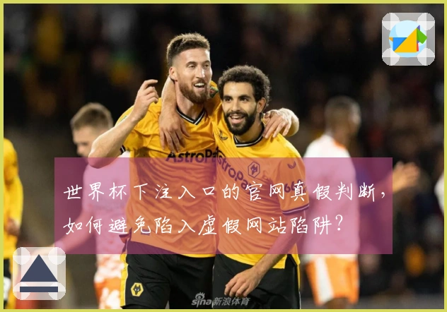 世界杯下注入口的官网真假判断，如何避免陷入虚假网站陷阱？
