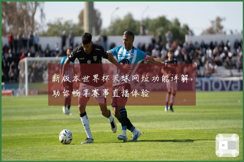 新版本世界杯买球网址功能详解,助你畅享赛事直播体验