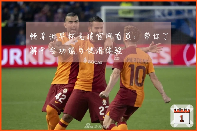 畅享世界杯竞猜官网首页，带你了解平台功能与使用体验