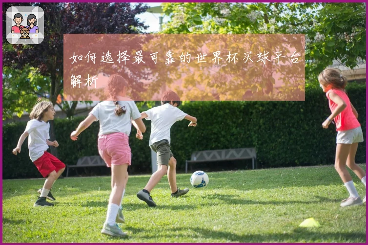 如何选择最可靠的世界杯买球平台解析