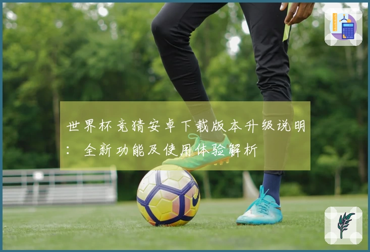 世界杯竞猜安卓下载版本升级说明：全新功能及使用体验解析
