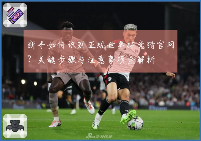 新手如何识别正规世界杯竞猜官网？关键步骤与注意事项全解析