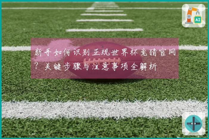 新手如何识别正规世界杯竞猜官网？关键步骤与注意事项全解析